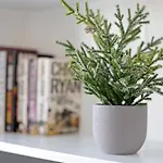 Casa Sam Appartement *